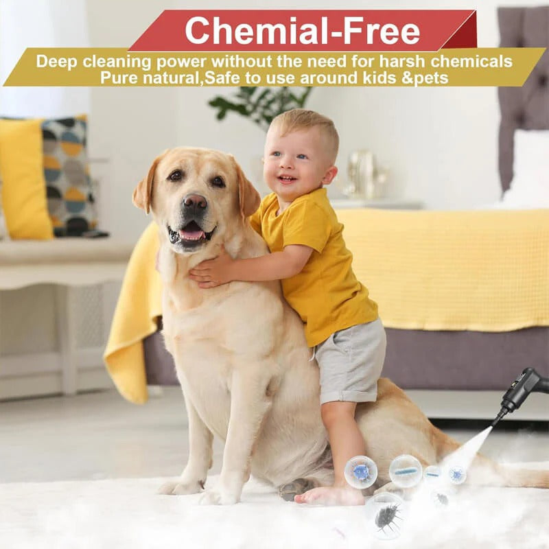 High-Pressure Steam Cleaner — 2500W Deep Clean